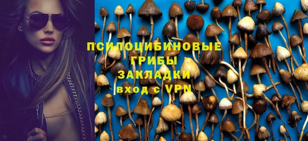 твердый Снежинск