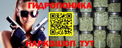 apvp Канаш
