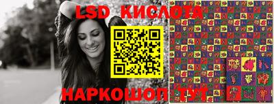 apvp Канаш