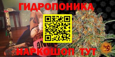 дурь Камышлов