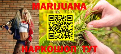 apvp Канаш