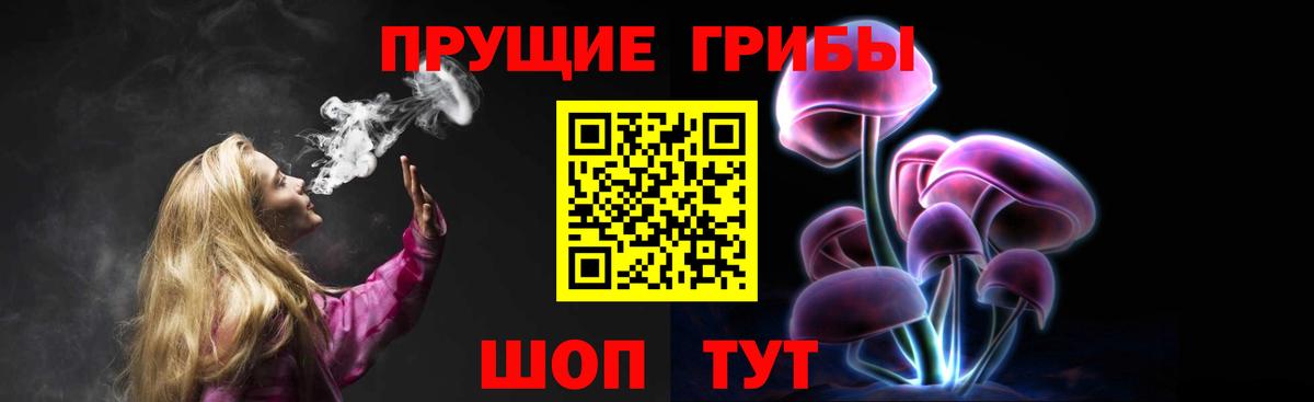 Галлюциногенные грибы GOLDEN TEACHER  купить наркотик  Псилоцибиновые грибы Psilocybine cubensis  Ноябрьск  Вход с VPN 